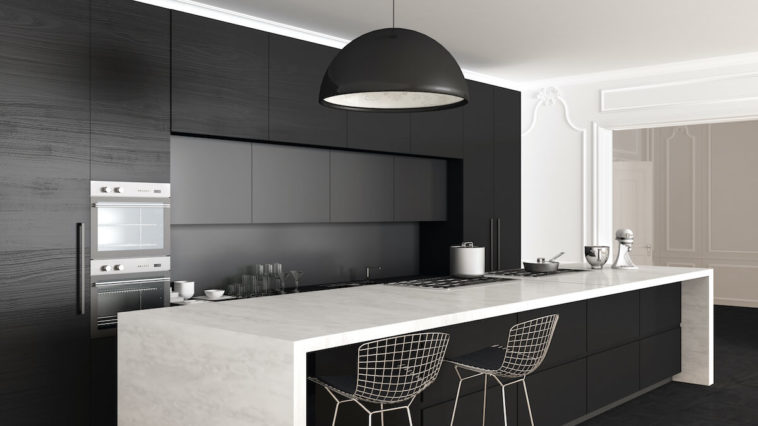 Black And White Kitchen Decor, White Kitchen With Black Quartz Countertops